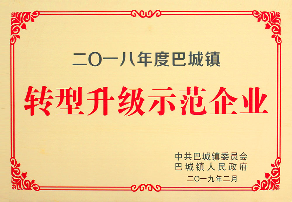 2018巴城镇升级示范企业